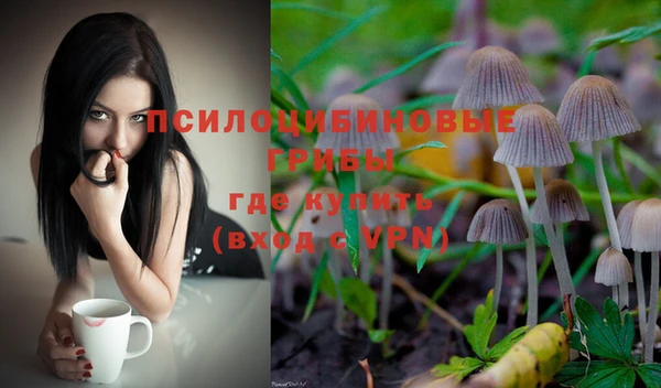 спиды Абинск