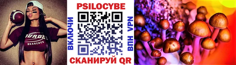 Псилоцибиновые грибы Cubensis MEGA как войти Димитровград