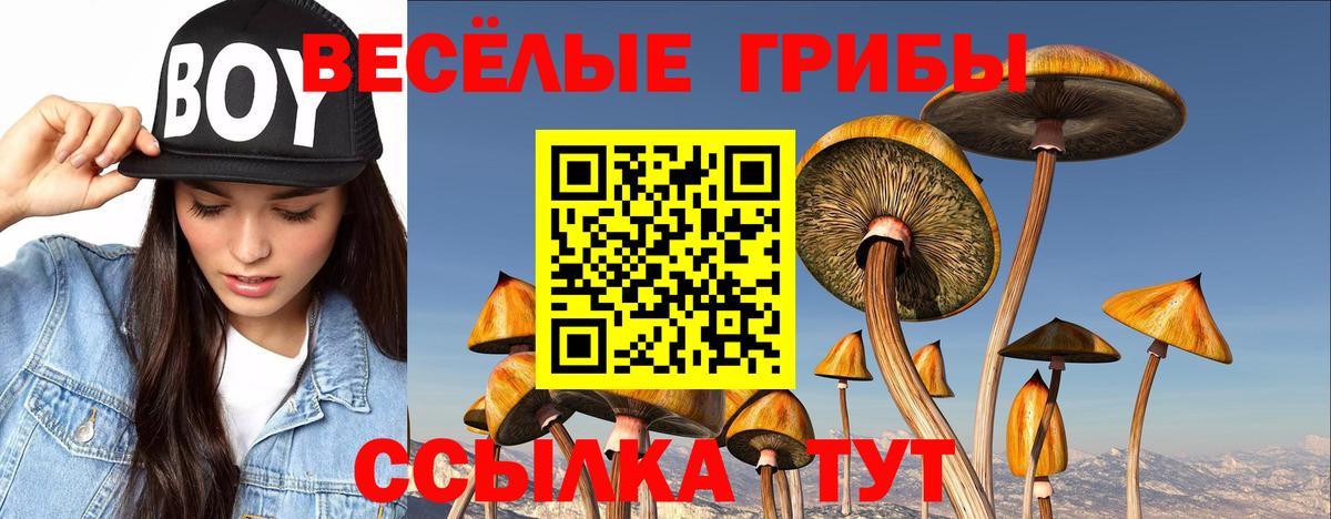 Димитровград  Галлюциногенные грибы мицелий  Вход с VPN 