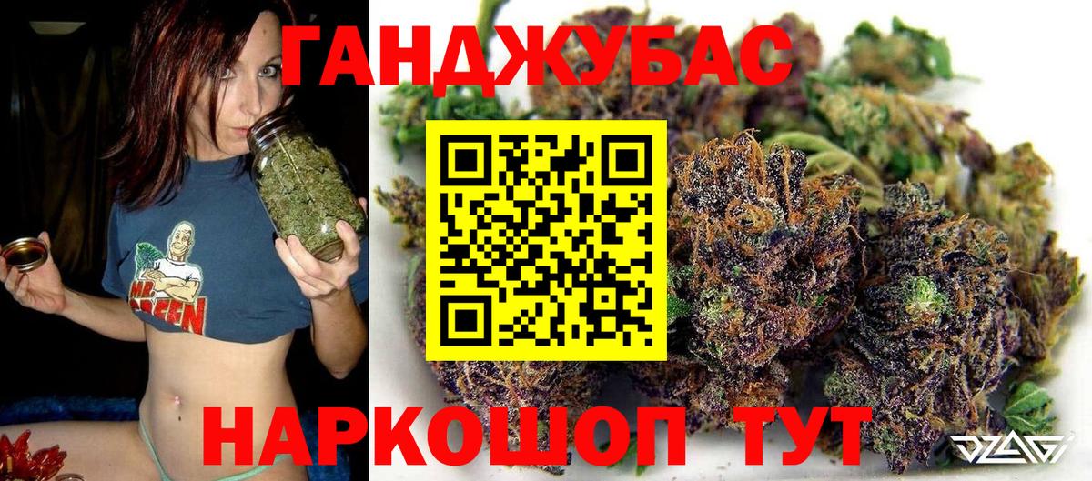 Конопля планчик Димитровград